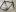 IMG 7808 Moyenne.jpeg