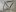 IMG 7811 Moyenne.jpeg